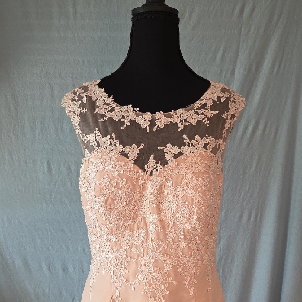 Elegant Lace Overlay Pink Dress